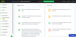 2 Objective & Alerts Diib