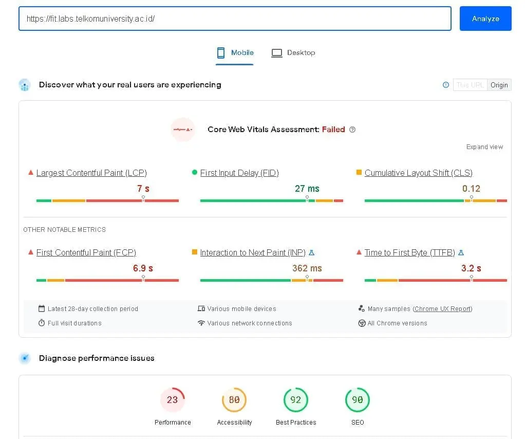 fit labs pagespeed