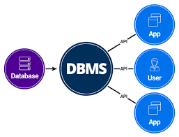 Database Management System