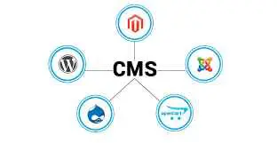 Macam Macam CMS Website