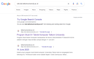 Pagesize BSE Telkom University
