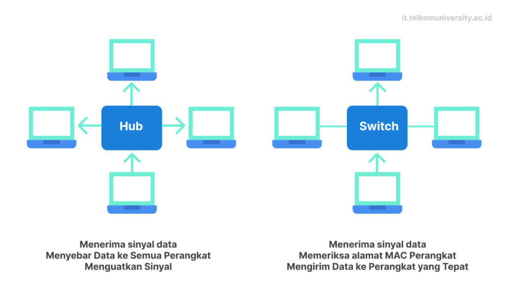 Hub Function in Network