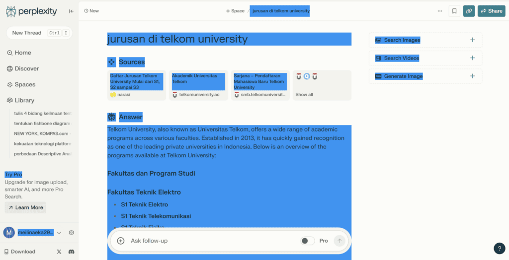 Perplexity AI Chatbot