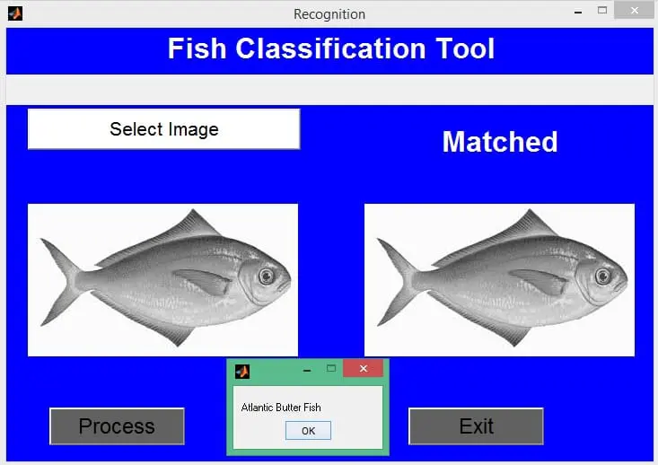 Image Classification in Computer Vision