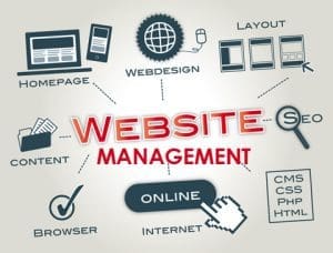 Manajemen Website
