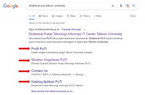 Sitelink Google