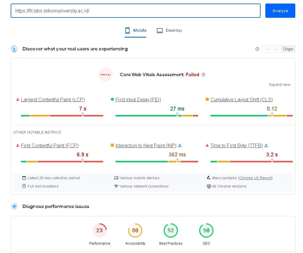fit labs pagespeed