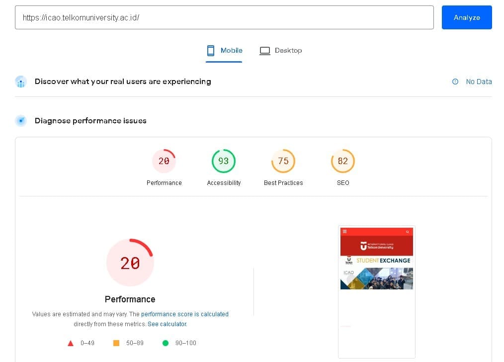 icao pagespeed