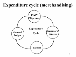 The Expenditure Cycle