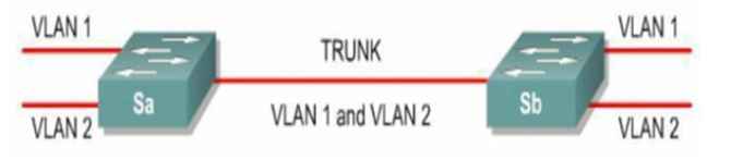 Contoh Trunk Link Contoh Trunk Link
