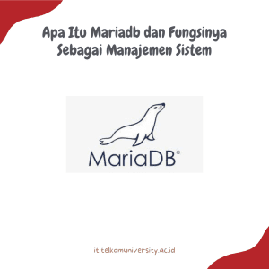 Apa Itu Mariadb dan Fungsinya Sebagai Manajemen Sistem