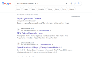 Pagesize PPM Telkom University