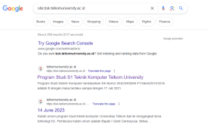 Pagesize BSE Telkom University
