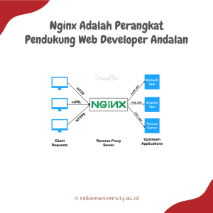 Nginx Adalah Perangkat Pendukung Web Developer Andalan