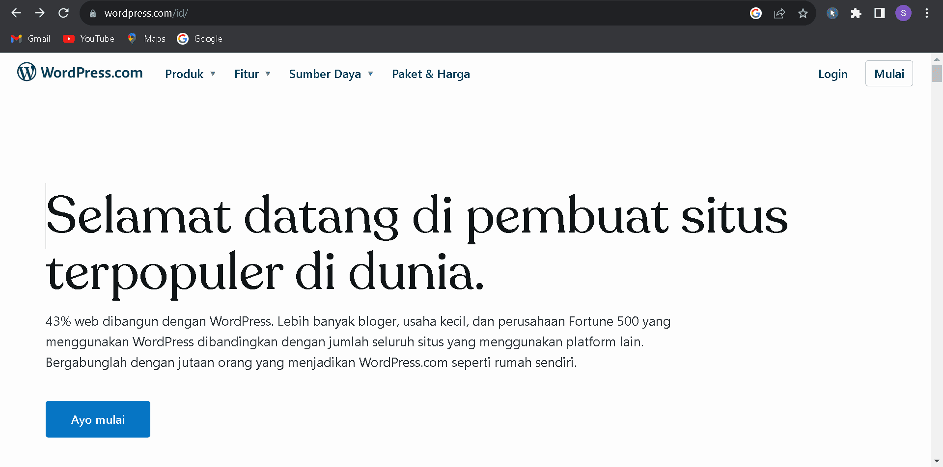 website wordpress