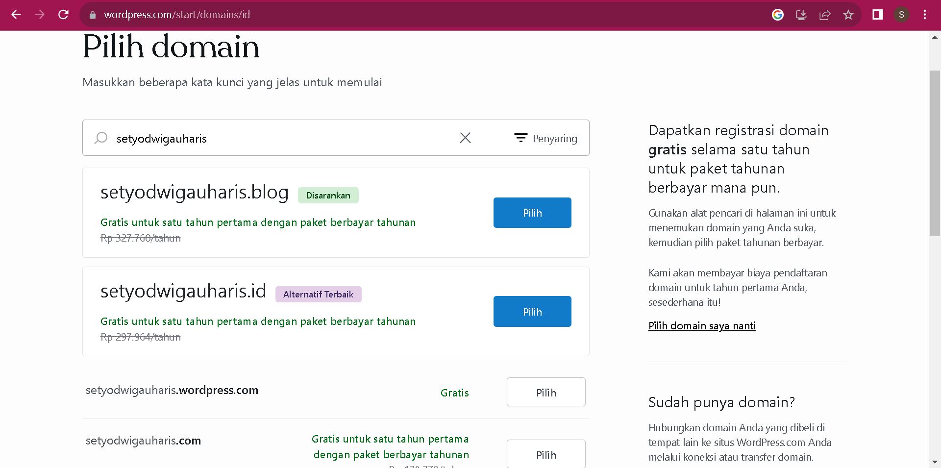 memilih domain wordpress