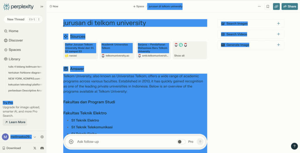 Perplexity AI Chatbot