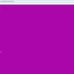 mengatasi Tampilan Rusak Pada Website Berbasis Wordpress bba
