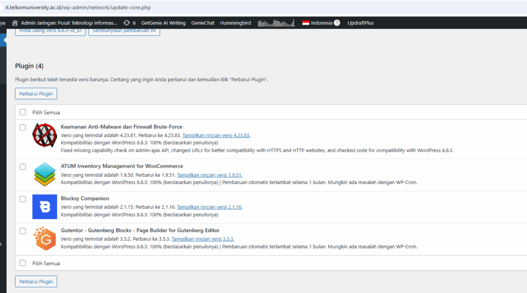 Cara Update Plugin, Theme dan Versi WordPress