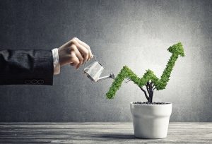 How to Choose the Right Cloud Provider for a Growing Startup